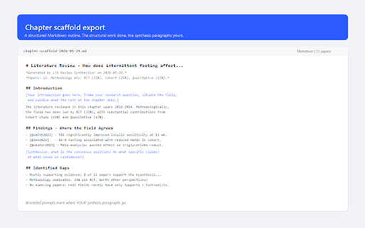 Lit Review Synthesizer screenshot