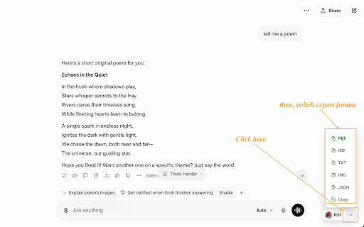 Grok to PDF: Export Grok Chats to PDF, Markdown, JSON screenshot