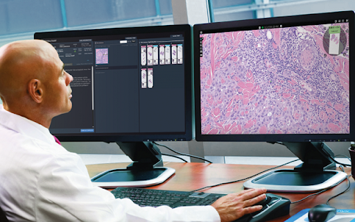 Synapse Pathology Workflow Extension screenshot