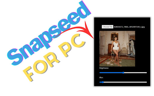 Snapseed for Pc,Windows and Mac (Free Download) screenshot