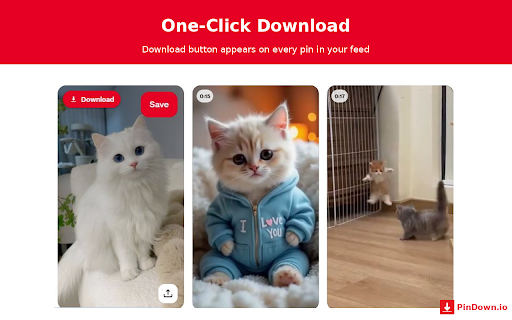 PinDown - Pinterest Downloader screenshot