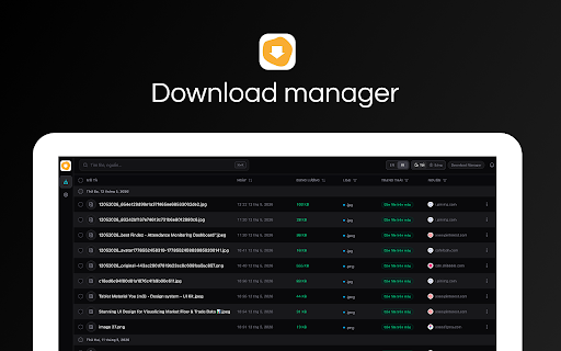 Download Manager screenshot