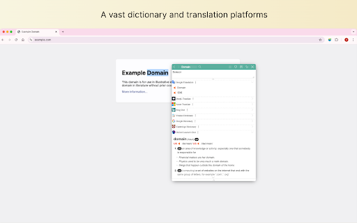 Saladict: Online Dictionary & Text Selection & Immersive Translation screenshot
