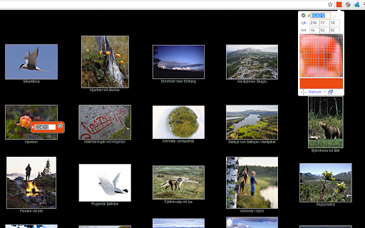 ColorPick Eyedropper screenshot