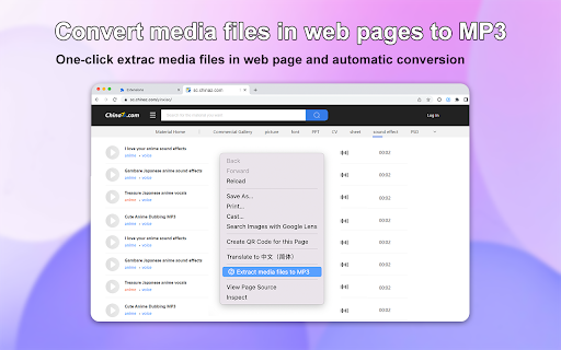MP3 Converter & Downloader screenshot