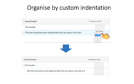 Canvas Modules Organiser screenshot