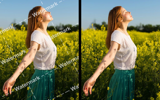 Watermark Remover from Photo | Inpaint screenshot