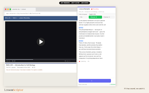 LessonScriptor screenshot
