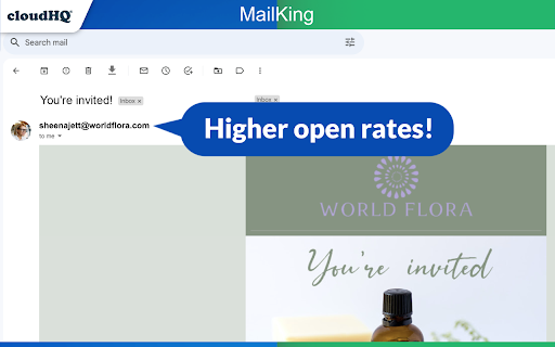 MailKing: Email Campaigns in Gmail by cloudHQ screenshot