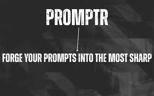 PromptR screenshot