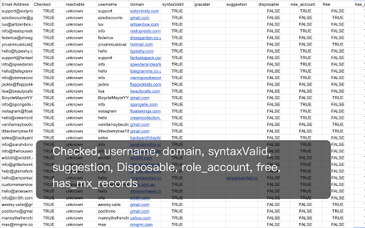 Bulk Email Verifier & Checker screenshot
