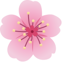 Unlimited Free Screen Recorder - Bloom icon