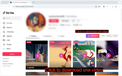 Short Video Downloader screenshot