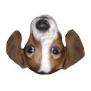 FrankerFaceZ icon