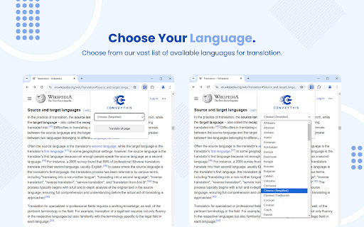 Website Translator screenshot