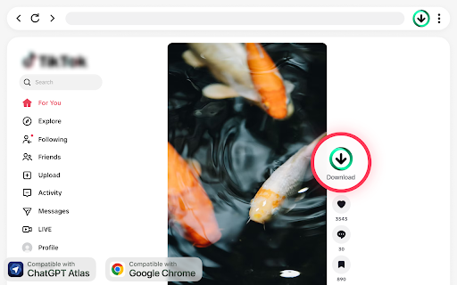 TikTok Video Downloader — Save Videos screenshot
