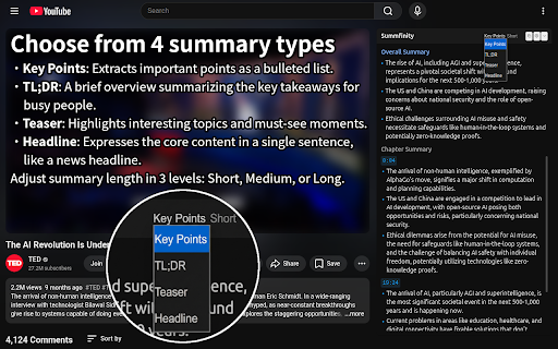 Summfinity for YouTube - Summaries Unlimited screenshot