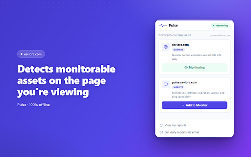 Website & Domain Monitor + App, Extension & Social Tracker · Pulse screenshot