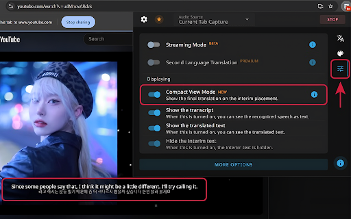 Speech Translator screenshot