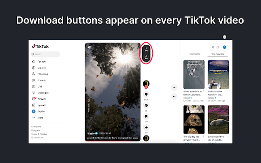 TikTok Video Downloader – No Watermark screenshot