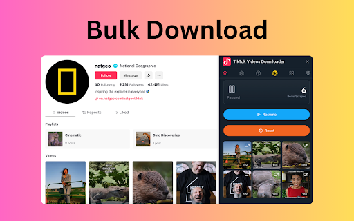 Short Videos Downloader screenshot