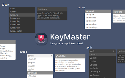KeyMaster for සිංහල, தமிழ், English screenshot