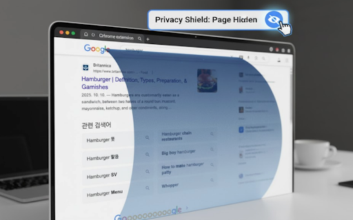 Privacy Shield screenshot