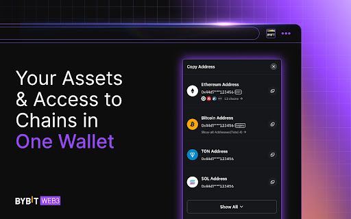 Bybit Wallet screenshot