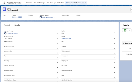 Salesforce Show Api Name screenshot
