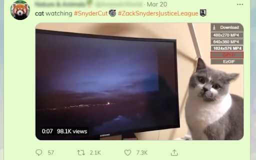 Twitter Gif & Video Downloader screenshot