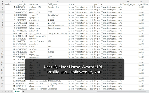 IGFollower - IG Follower Export Tool screenshot