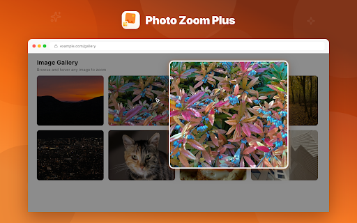 Photo Zoom Plus screenshot