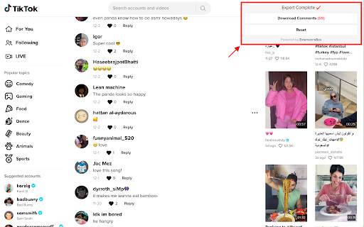 Comment Exporter for TikTok screenshot