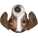 FrankerFaceZ Nightly icon