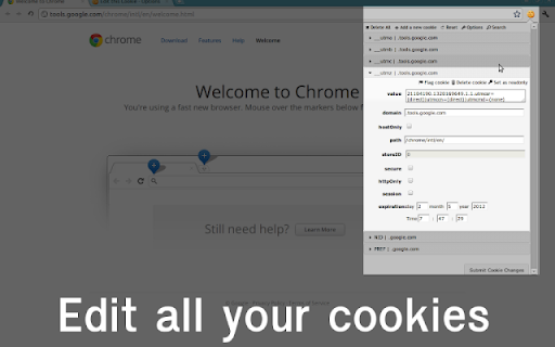 EditThisCookie Origin screenshot