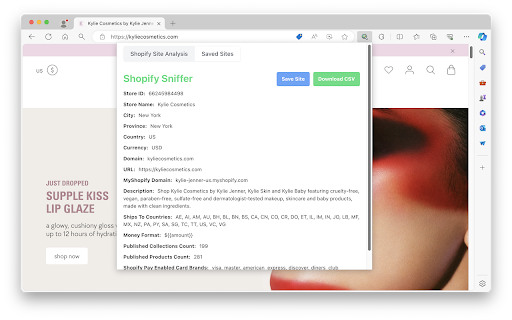 Shopify Store Inspector and Analyzer screenshot