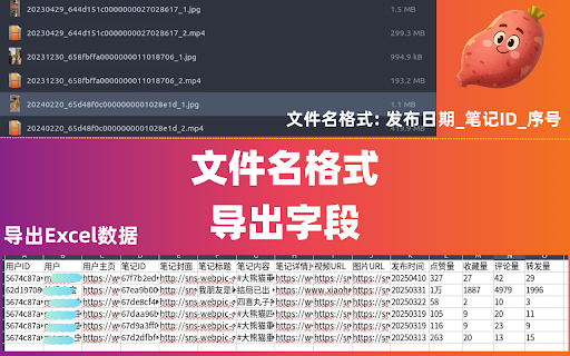 小红薯Pro-下载小红书视频/图片/评论 screenshot