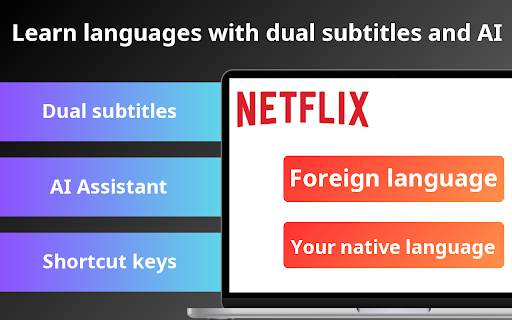 Netflix Dual Subtitles Master screenshot