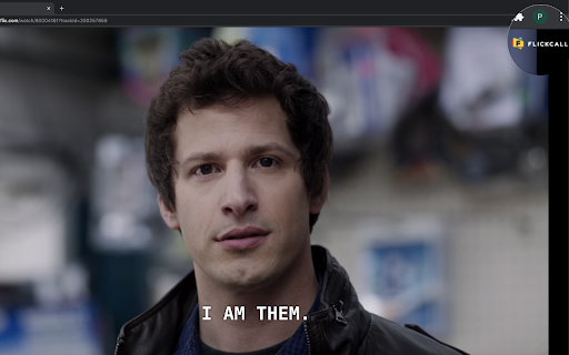Flickcall: Netflix Party with Video Call screenshot