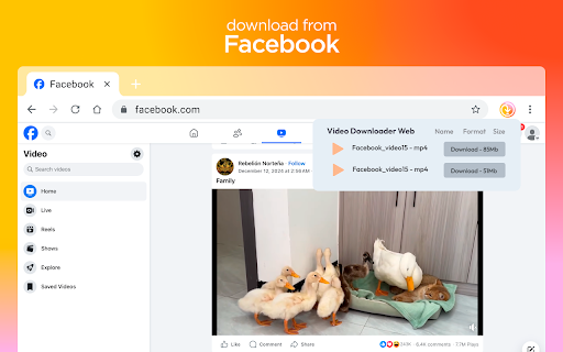 Video Downloader Web screenshot
