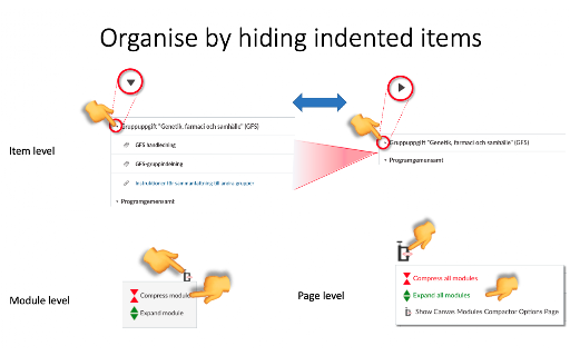Canvas Modules Organiser screenshot
