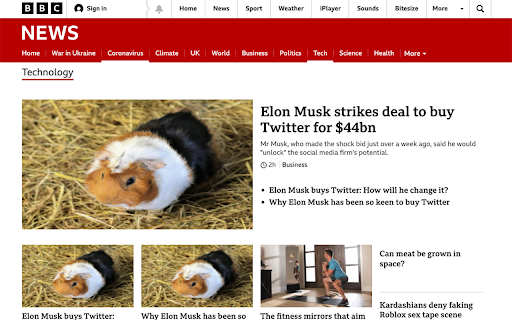 Elon Be Gone screenshot