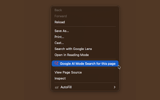 Google™ AI Mode Search screenshot