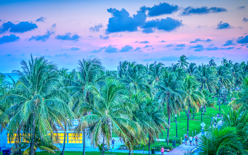 Miami Wallpaper screenshot