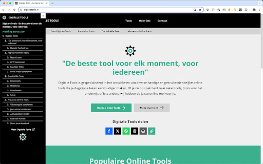 Heading structuur controleren screenshot