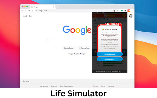 Life Simulator screenshot