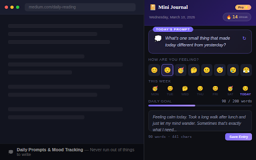 Mini Journal - Quick Daily Notes screenshot