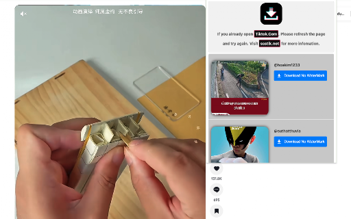 ssstik - Tik Tok Downloader screenshot