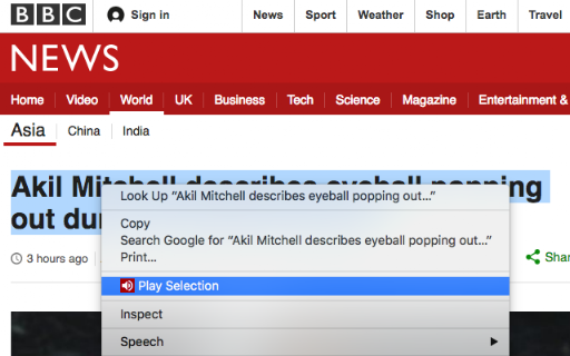 TTSReader | Text to Speech In Page Reader screenshot