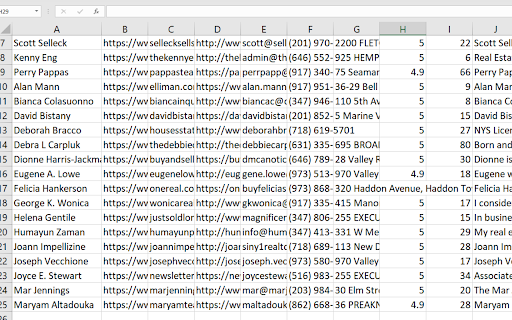 Realtor Emails Finder & Phone Number Scraper screenshot